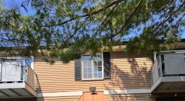 4300-H BUCKMAN RD #H, ALEXANDRIA, Virginia 22309, 2 Bedrooms Bedrooms, ,1 BathroomBathrooms,Residential,For sale,4300-H BUCKMAN RD #H,VAFX2194416 MLS # VAFX2194416