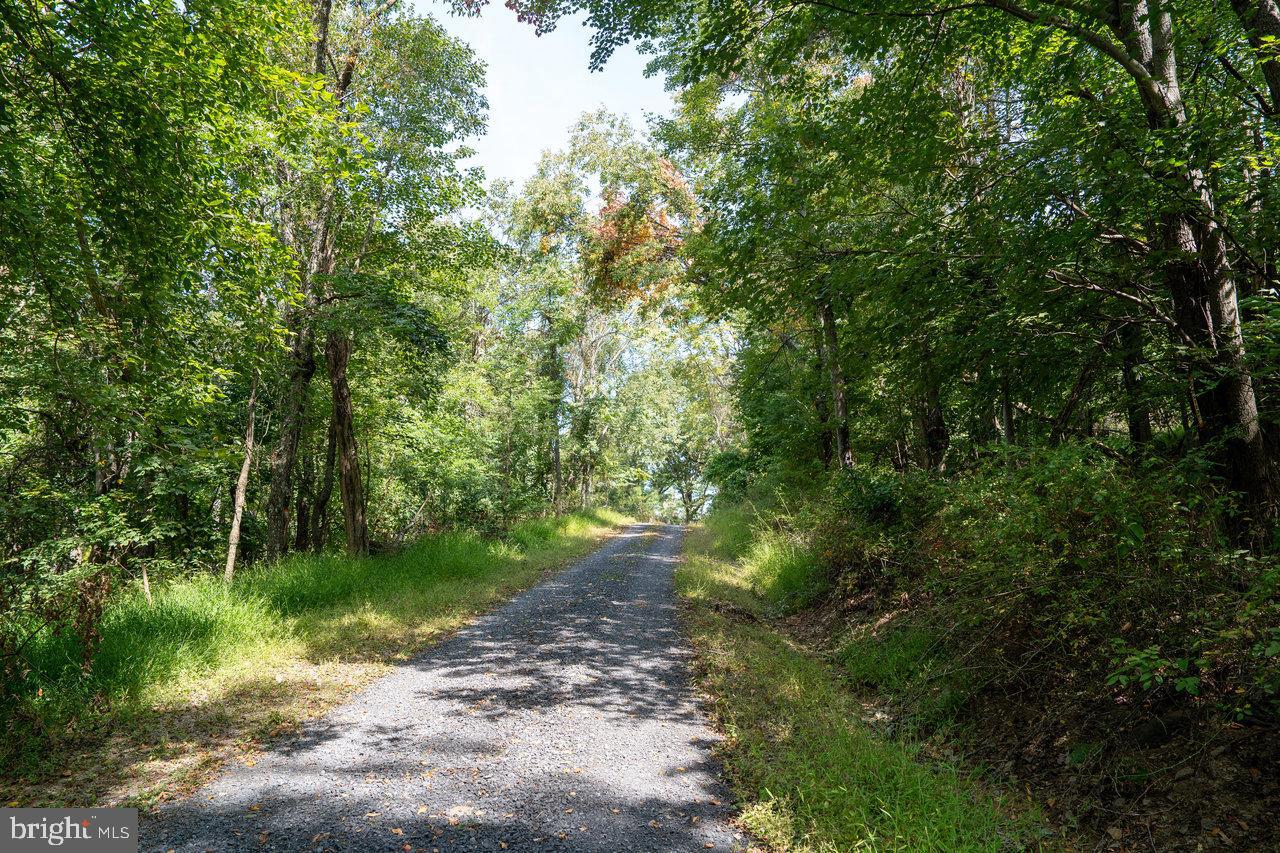 LOT 3 PRICE RIDGE RD, STANLEY, Virginia 22851, ,Land,For sale,LOT 3 PRICE RIDGE RD,VAPA2004342 MLS # VAPA2004342