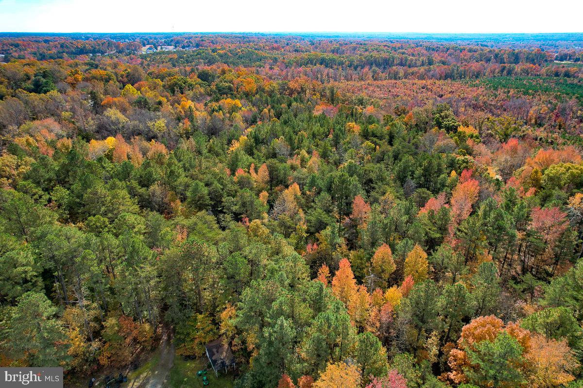 4.913 ACRES SARAH ST, BOWLING GREEN, Virginia 22427, ,Land,For sale,4.913 ACRES SARAH ST,VACV2007406 MLS # VACV2007406