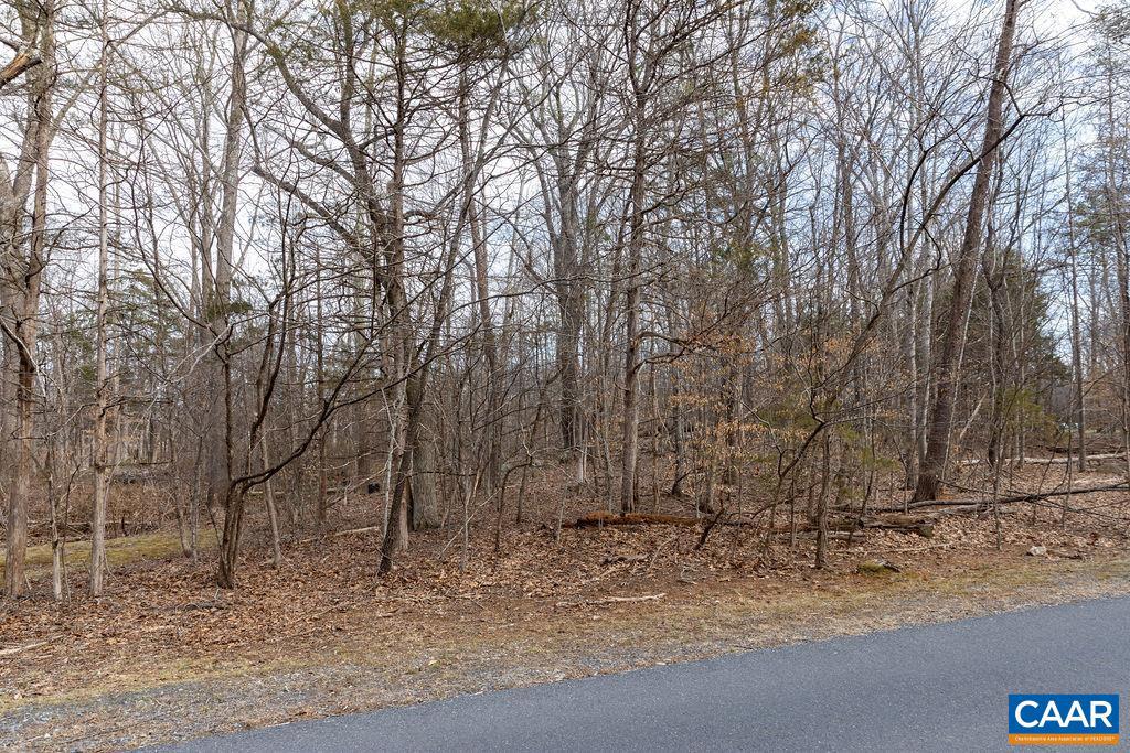 11 BELLFLOWER LN, NELLYSFORD, Virginia 22958, ,Land,For sale,11 BELLFLOWER LN,661502 MLS # 661502