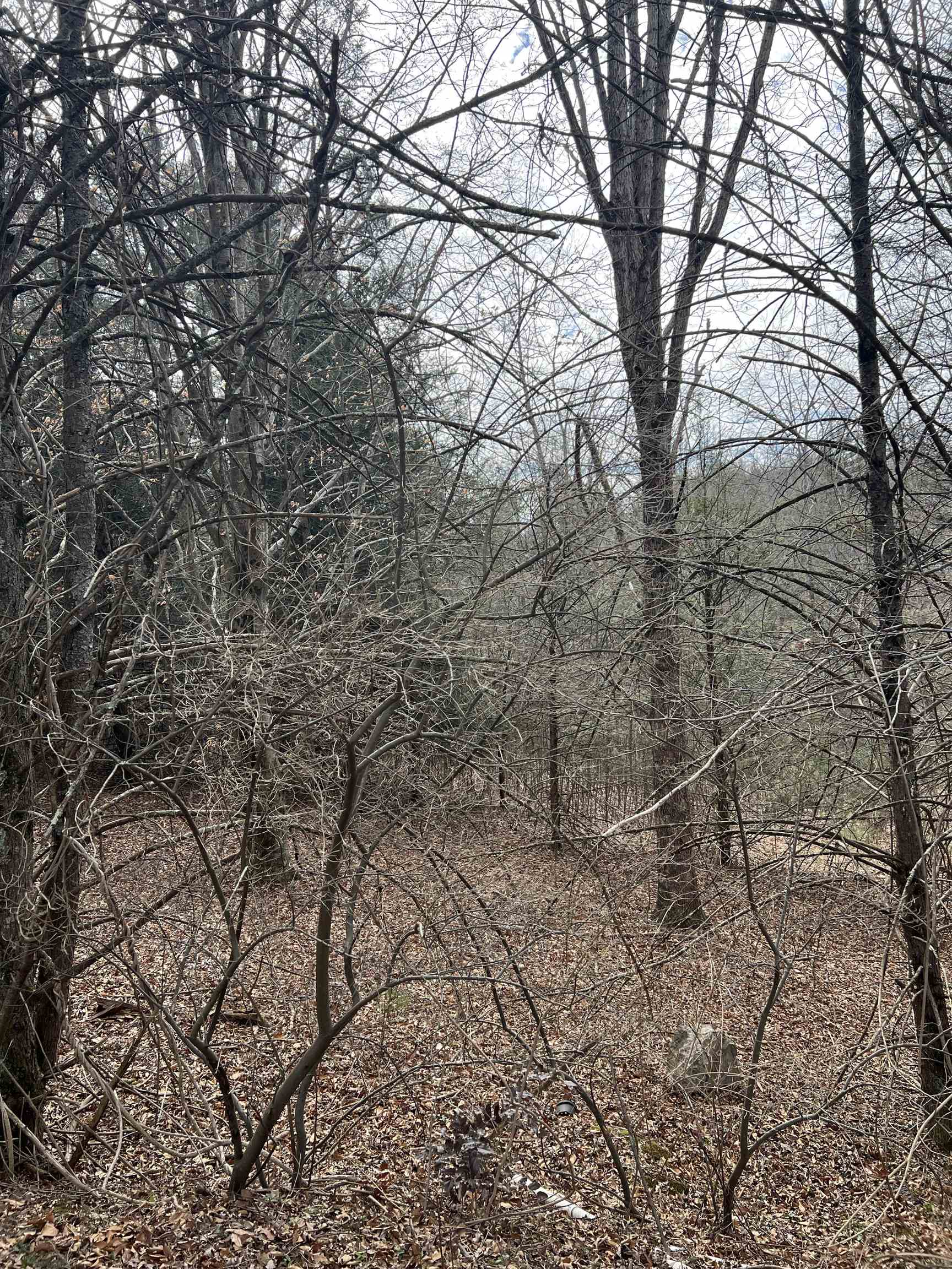 TBd COLD SPRINGS RD, RAPHINE, Virginia 24472, ,Land,TBD Cold Springs Road,TBd COLD SPRINGS RD,661530 MLS # 661530