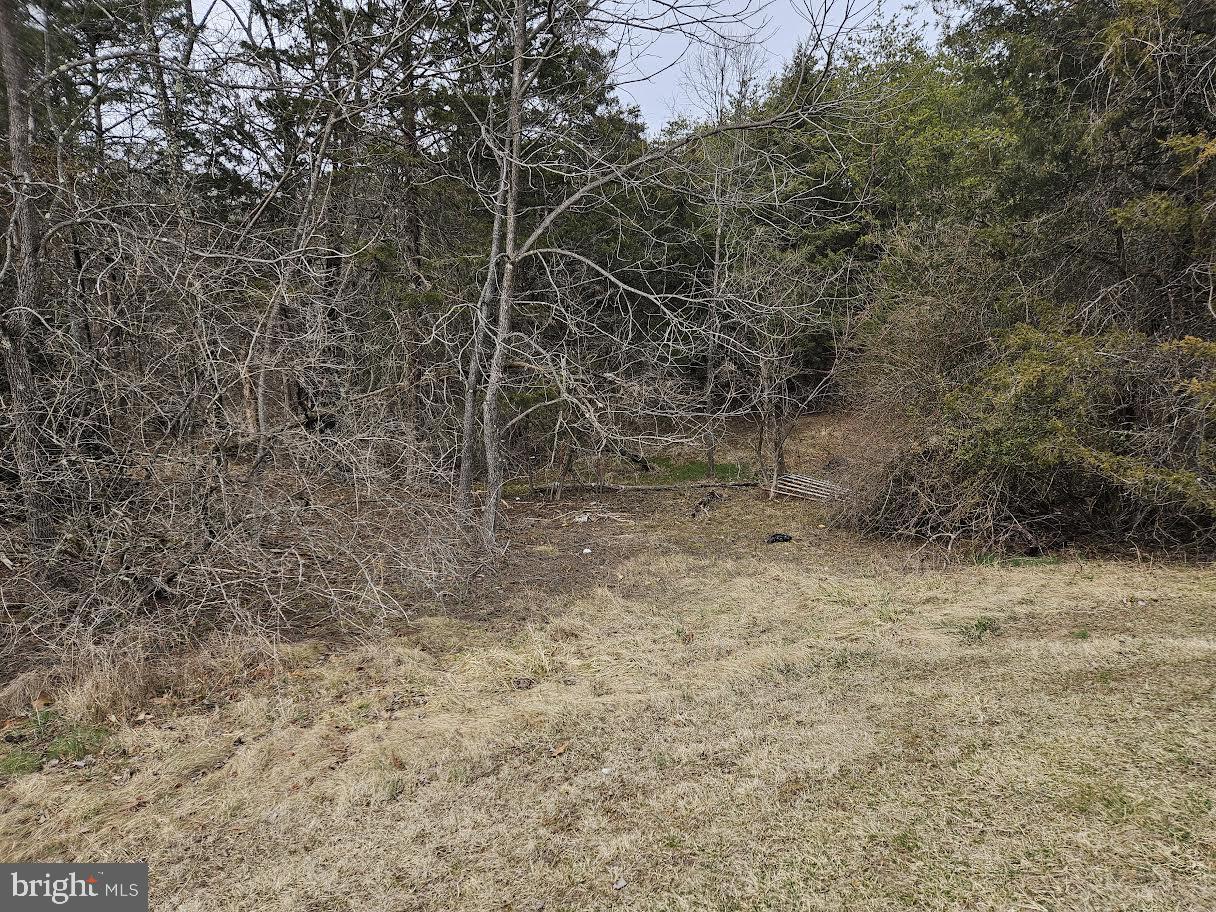 UNKNOWN, STEPHENS CITY, Virginia 22655, ,Land,For sale,UNKNOWN,VAFV2024778 MLS # VAFV2024778