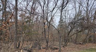 UNKNOWN, STEPHENS CITY, Virginia 22655, ,Land,For sale,UNKNOWN,VAFV2024778 MLS # VAFV2024778