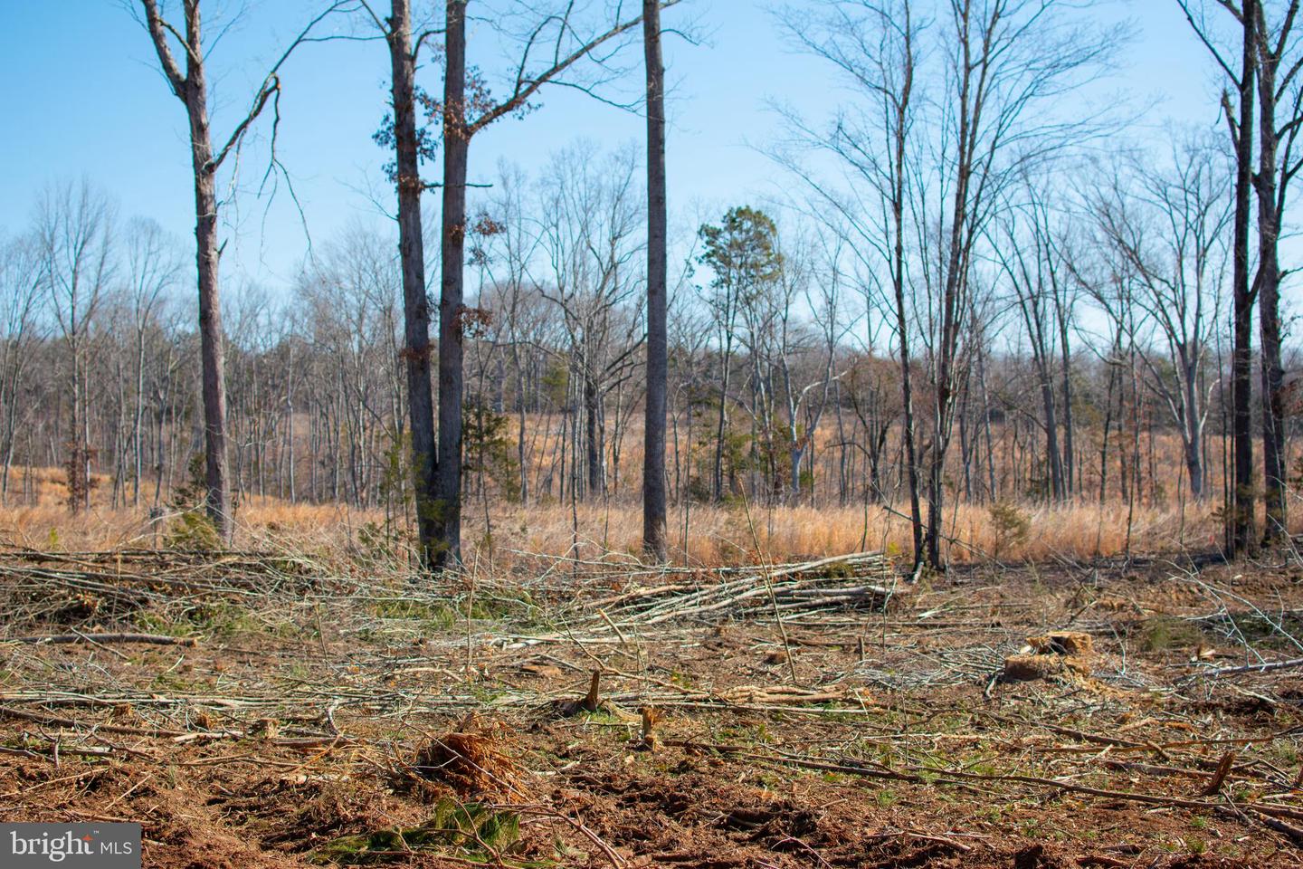000 HENRYS TRL, NATHALIE, Virginia 24577, ,Land,For sale,000 HENRYS TRL,VAHX2000088 MLS # VAHX2000088