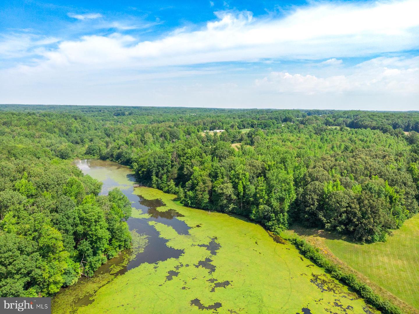 TBD W LOCKETT CREEK BLVD #LOT 12, PAMPLIN, Virginia 23958, ,Land,For sale,TBD W LOCKETT CREEK BLVD #LOT 12,VAPE2000066 MLS # VAPE2000066