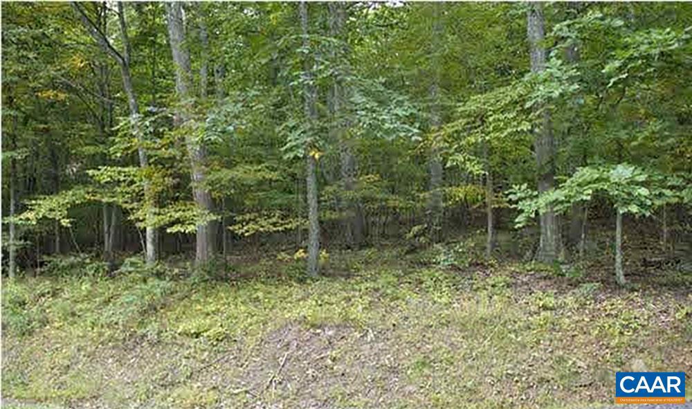 122 HANGING ROCK LN, WINTERGREEN RESORT, Virginia 22967, ,Land,For sale,122 HANGING ROCK LN,661533 MLS # 661533