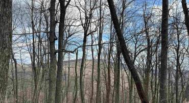 122 HANGING ROCK LN, WINTERGREEN RESORT, Virginia 22967, ,Land,For sale,122 HANGING ROCK LN,661533 MLS # 661533