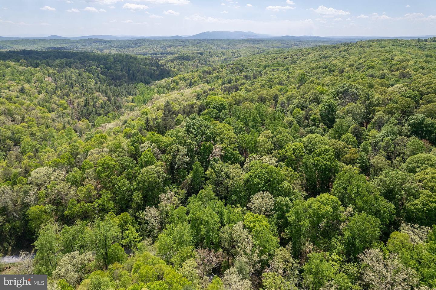 SHOCKEYSVILLE ROAD, WINCHESTER, Virginia 22603, ,Farm,For sale,SHOCKEYSVILLE ROAD,VAFV2024812 MLS # VAFV2024812