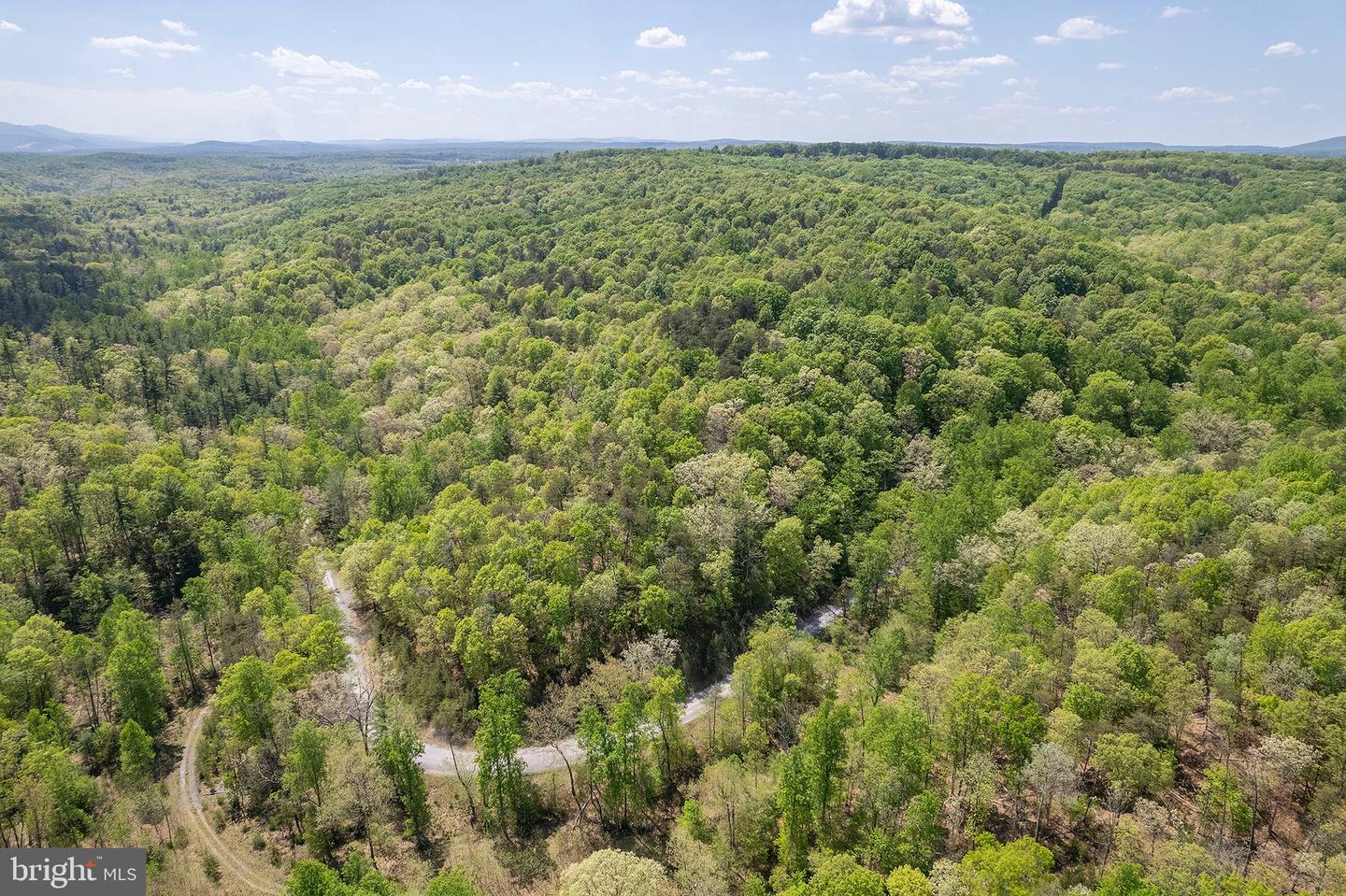 SHOCKEYSVILLE ROAD, WINCHESTER, Virginia 22603, ,Farm,For sale,SHOCKEYSVILLE ROAD,VAFV2024812 MLS # VAFV2024812