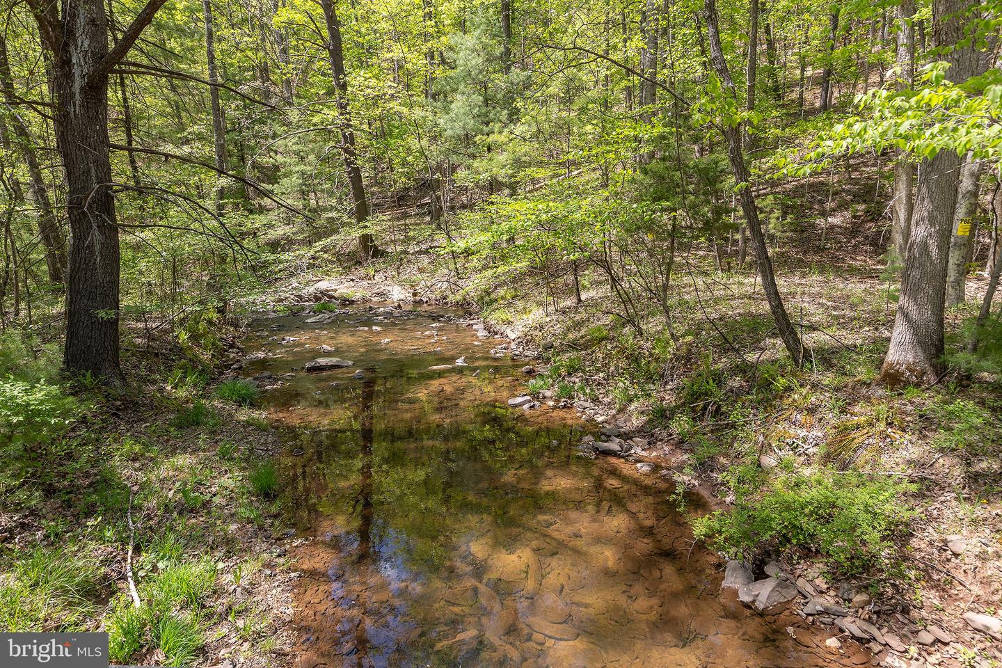 SHOCKEYSVILLE ROAD, WINCHESTER, Virginia 22603, ,Farm,For sale,SHOCKEYSVILLE ROAD,VAFV2024812 MLS # VAFV2024812