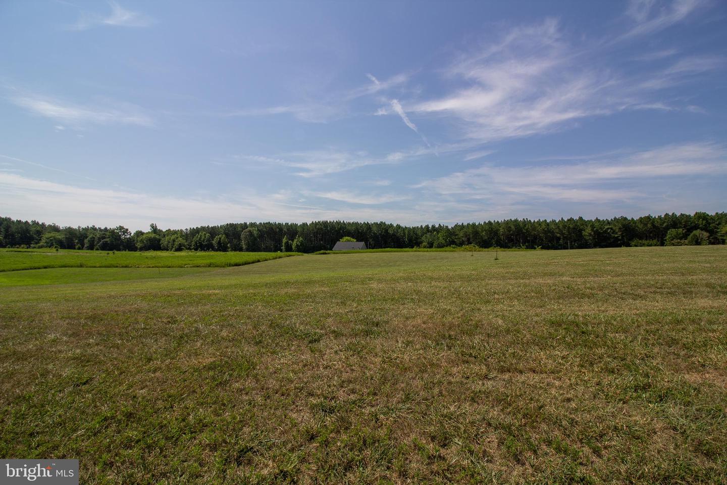 TBD STOCKTON ROAD #LOT 45, PAMPLIN, Virginia 23958, ,Land,For sale,TBD STOCKTON ROAD #LOT 45,VAPE2000068 MLS # VAPE2000068