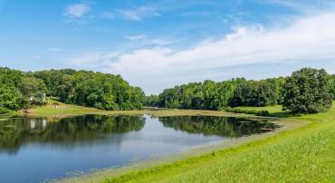 TBD STOCKTON ROAD #LOT 45, PAMPLIN, Virginia 23958, ,Land,For sale,TBD STOCKTON ROAD #LOT 45,VAPE2000068 MLS # VAPE2000068