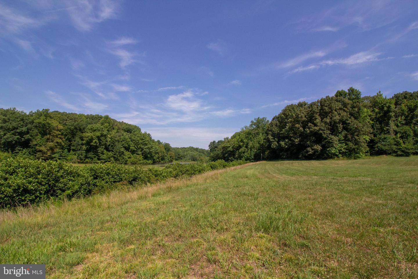 TBD LINDSAY ROAD #LOT 47, PAMPLIN, Virginia 23958, ,Land,For sale,TBD LINDSAY ROAD #LOT 47,VAPE2000070 MLS # VAPE2000070