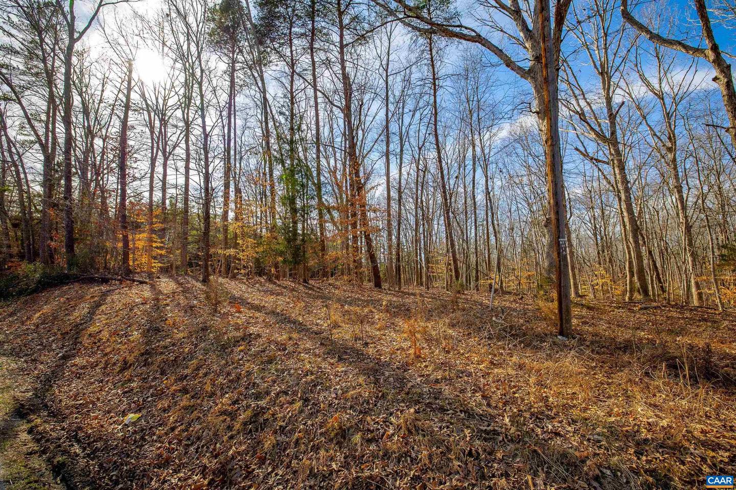 TBD REDD SHOP RD, FARMVILLE, Virginia 23901, ,Land,For sale,TBD REDD SHOP RD,661555 MLS # 661555