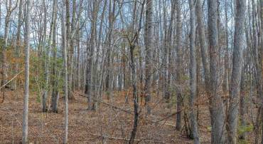 TBD BIBLE WAY RD, VICTORIA, Virginia 23974, ,Land,For sale,TBD BIBLE WAY RD,661556 MLS # 661556