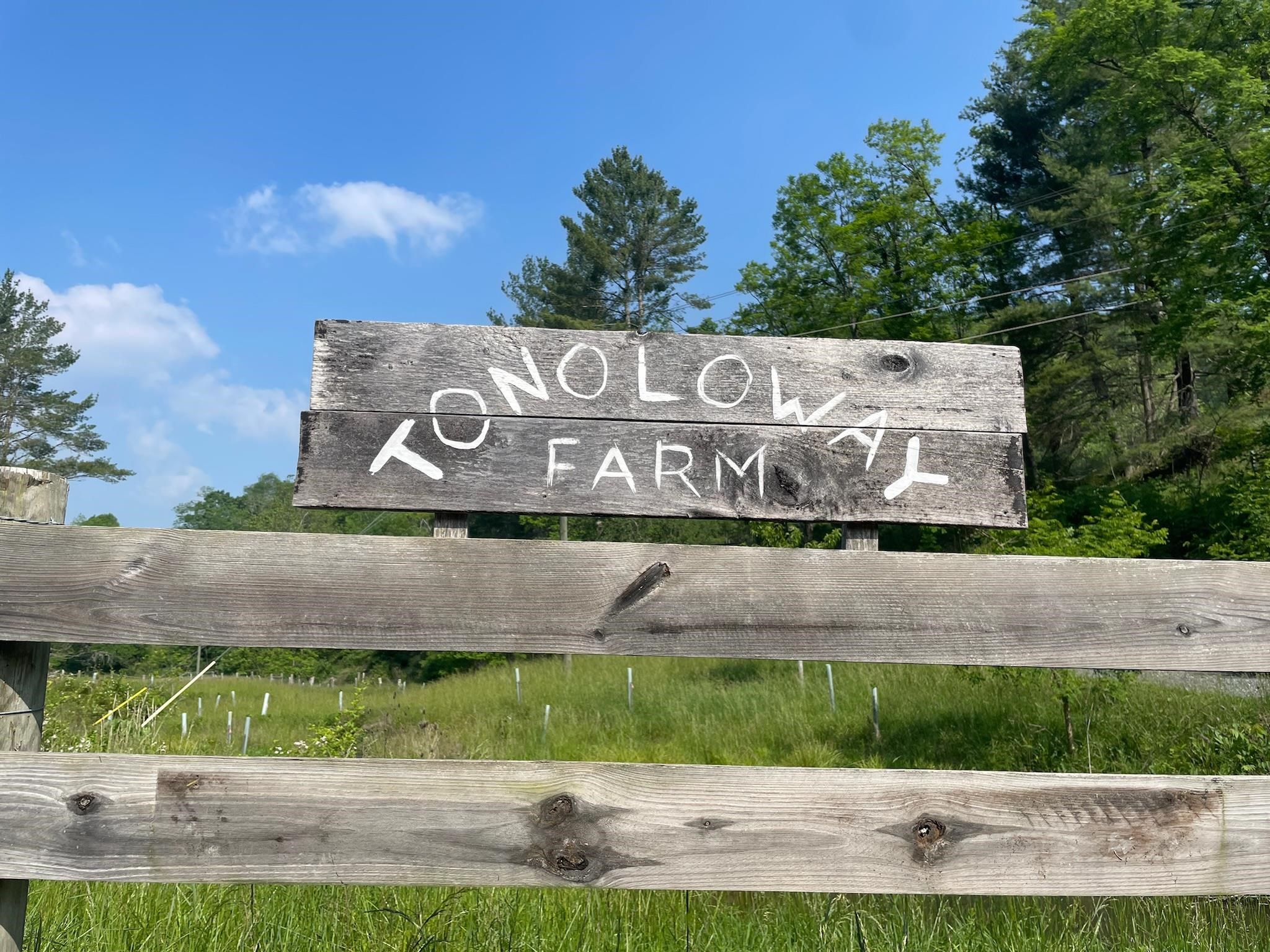 9943 HIGHLAND TPKE, MCDOWELL, Virginia 24458, 2 Bedrooms Bedrooms, ,1 BathroomBathrooms,Residential,Tonoloway Farm,9943 HIGHLAND TPKE,661550 MLS # 661550