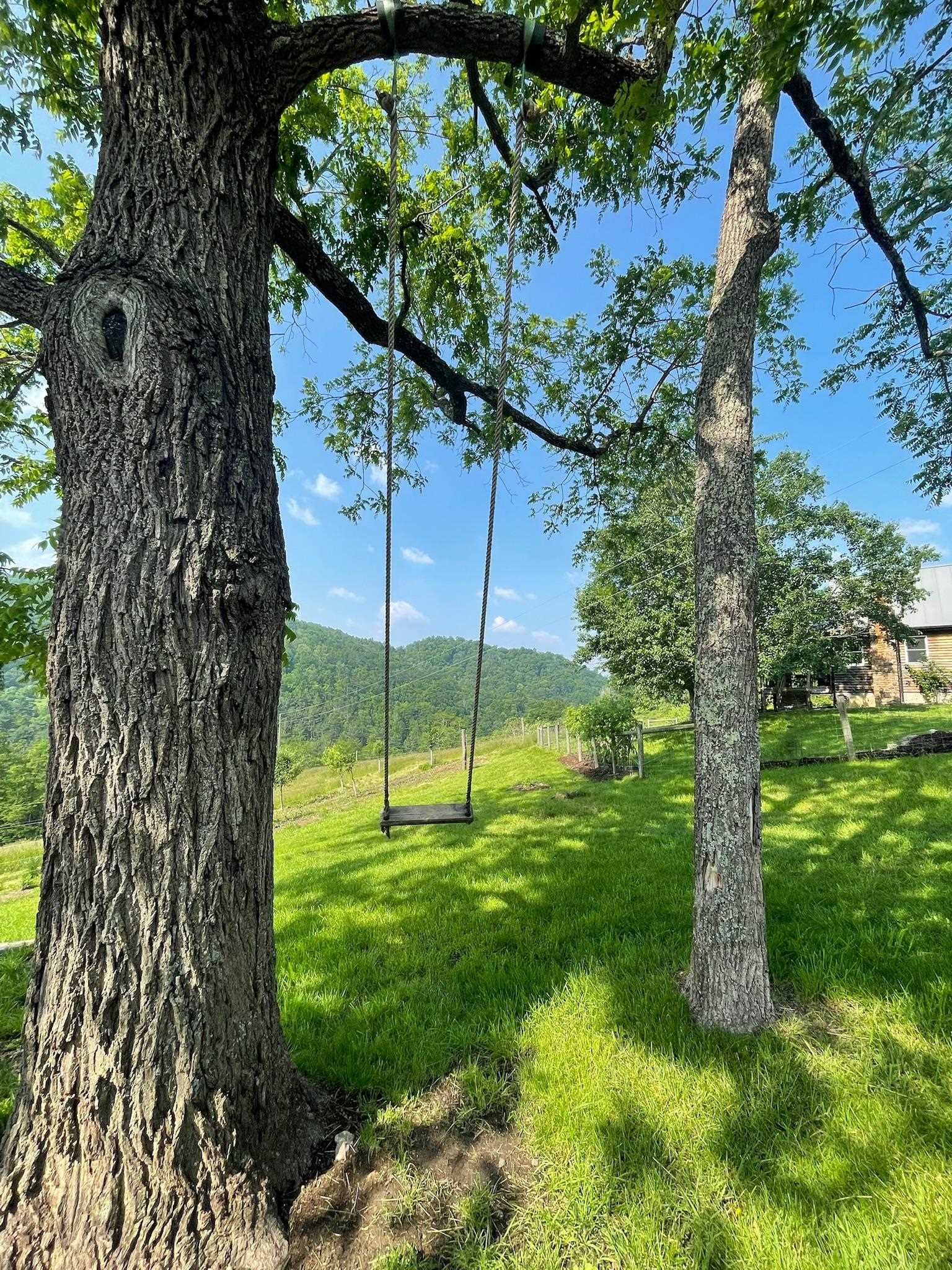 9943 HIGHLAND TPKE, MCDOWELL, Virginia 24458, 2 Bedrooms Bedrooms, ,1 BathroomBathrooms,Residential,Tonoloway Farm,9943 HIGHLAND TPKE,661550 MLS # 661550