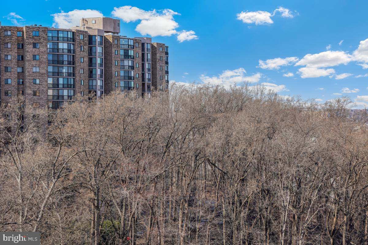 5904 MOUNT EAGLE DR #1105, ALEXANDRIA, Virginia 22303, 2 Bedrooms Bedrooms, 9 Rooms Rooms,2 BathroomsBathrooms,Residential,For sale,5904 MOUNT EAGLE DR #1105,VAFX2223324 MLS # VAFX2223324