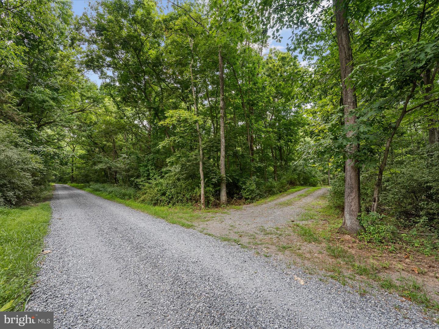 LOT 4 ROCK HALL FARM LN, BERRYVILLE, Virginia 22611, ,Land,For sale,LOT 4 ROCK HALL FARM LN,VACL2003486 MLS # VACL2003486