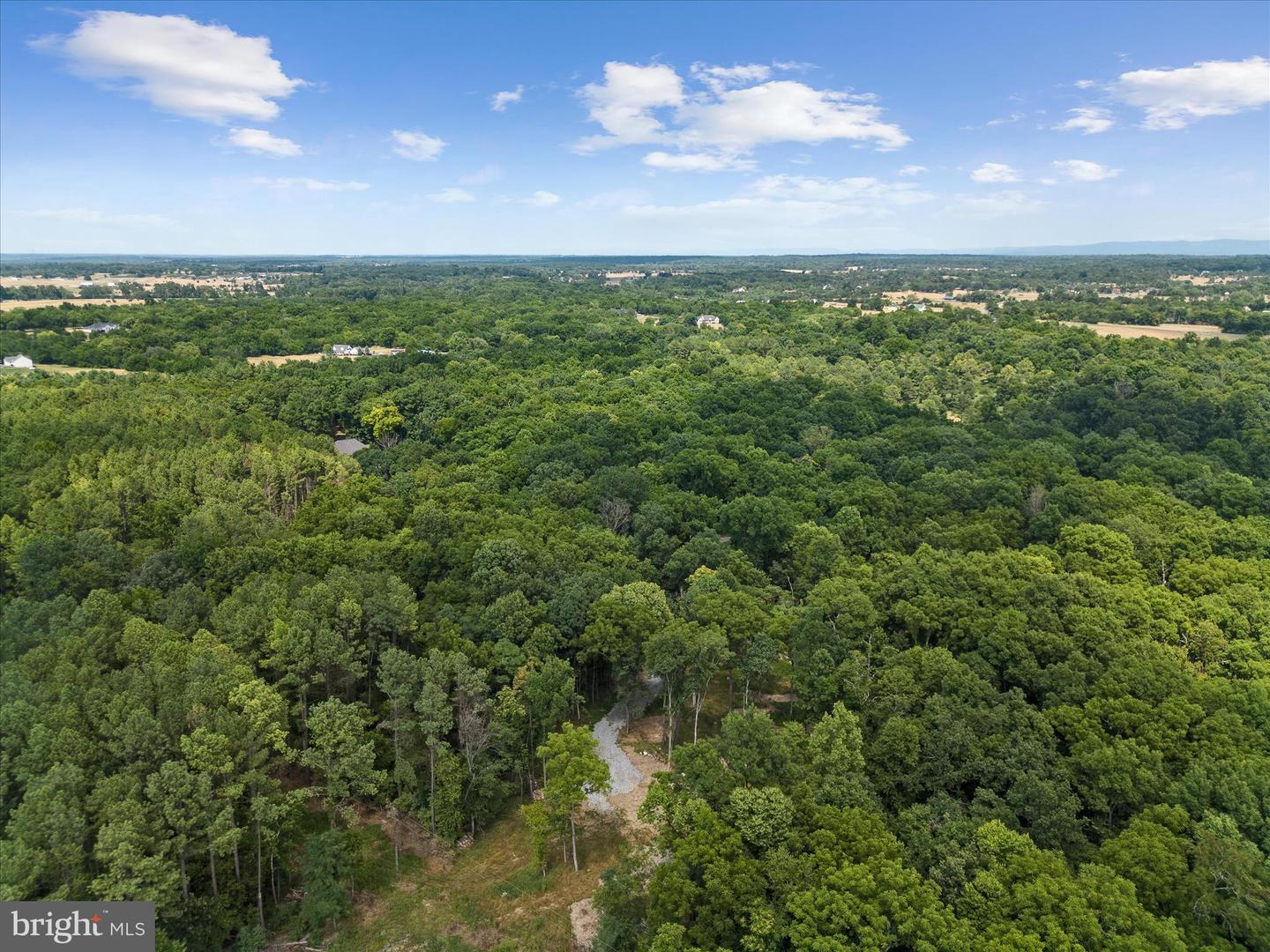 LOT 4 ROCK HALL FARM LN, BERRYVILLE, Virginia 22611, ,Land,For sale,LOT 4 ROCK HALL FARM LN,VACL2003486 MLS # VACL2003486