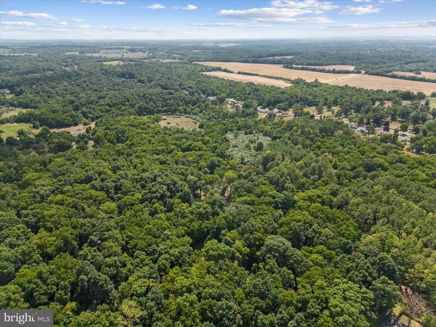 LOT 4 ROCK HALL FARM LN, BERRYVILLE, Virginia 22611, ,Land,For sale,LOT 4 ROCK HALL FARM LN,VACL2003486 MLS # VACL2003486