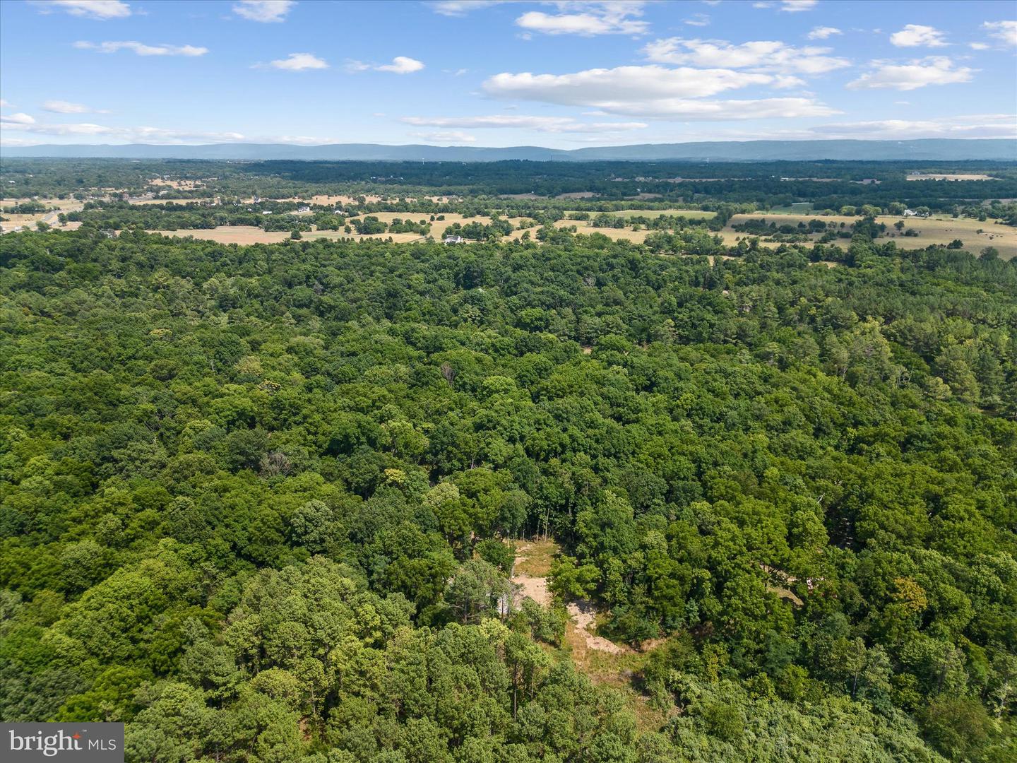 LOT 4 ROCK HALL FARM LN, BERRYVILLE, Virginia 22611, ,Land,For sale,LOT 4 ROCK HALL FARM LN,VACL2003486 MLS # VACL2003486