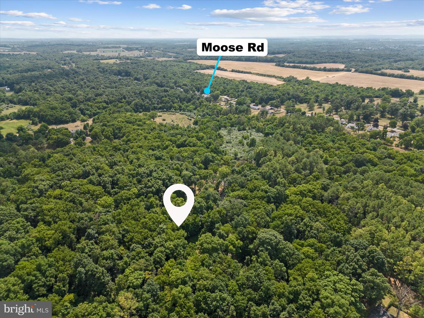 LOT 4 ROCK HALL FARM LN, BERRYVILLE, Virginia 22611, ,Land,For sale,LOT 4 ROCK HALL FARM LN,VACL2003486 MLS # VACL2003486