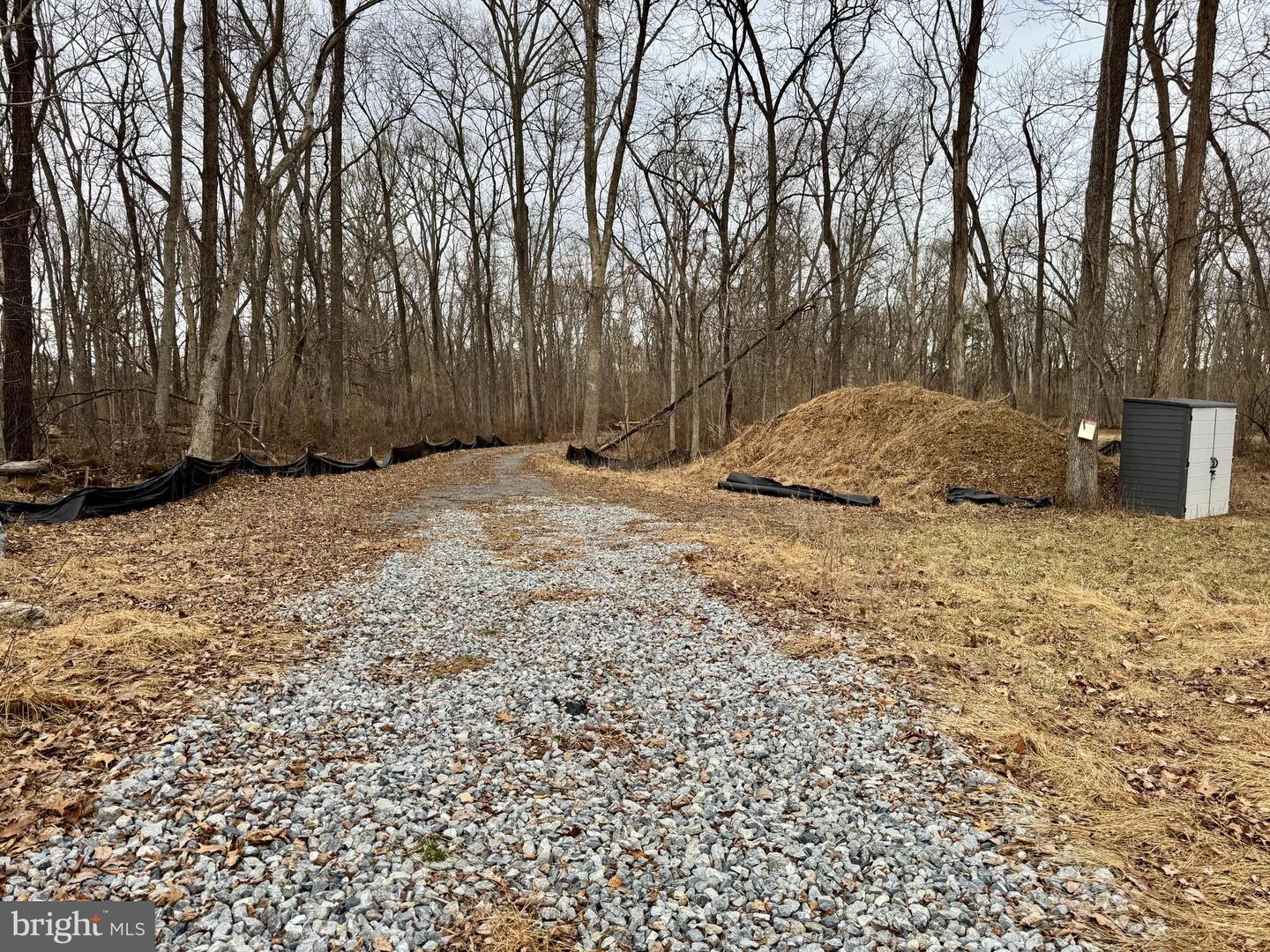 LOT 4 ROCK HALL FARM LN, BERRYVILLE, Virginia 22611, ,Land,For sale,LOT 4 ROCK HALL FARM LN,VACL2003486 MLS # VACL2003486