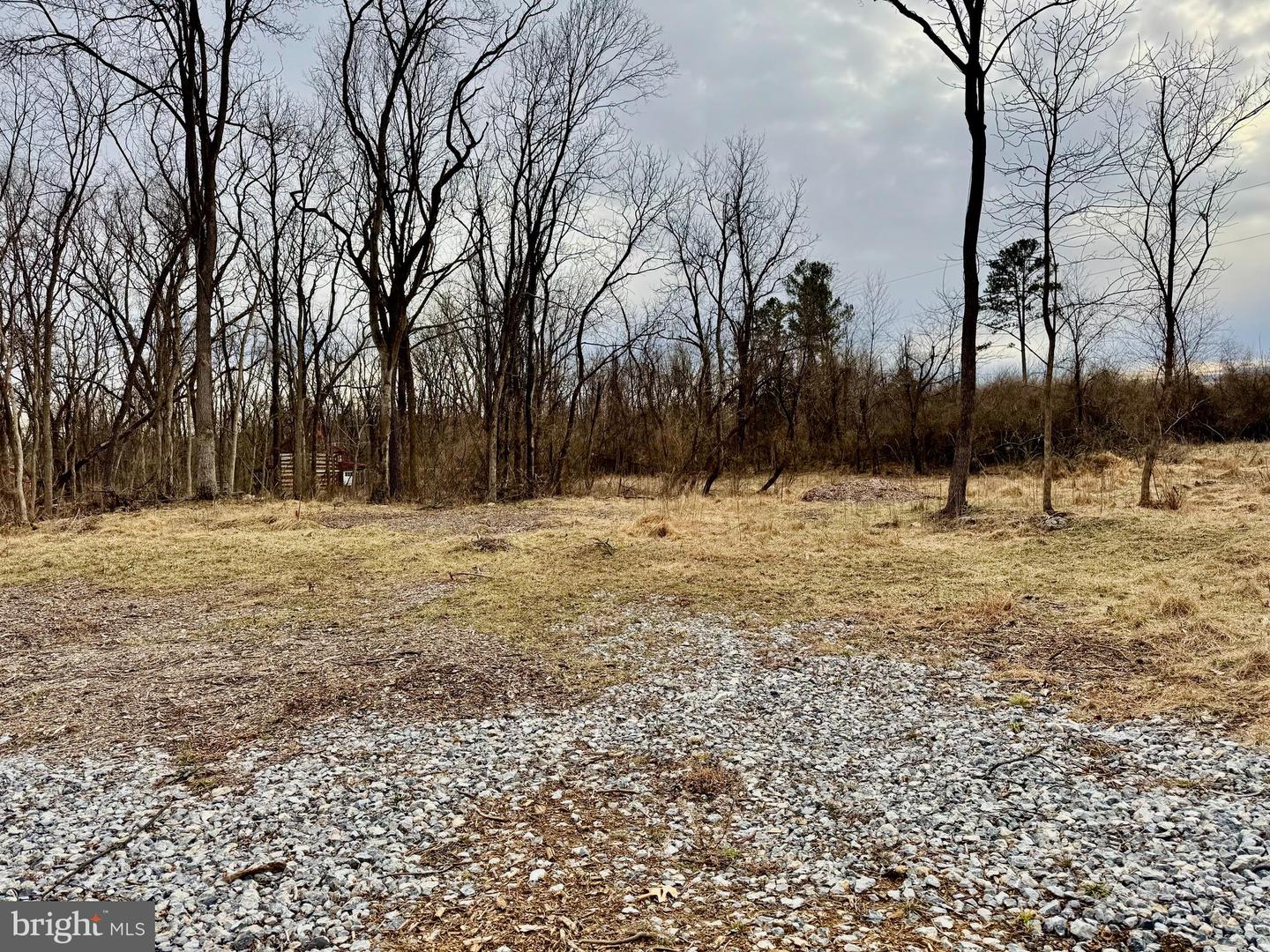 LOT 4 ROCK HALL FARM LN, BERRYVILLE, Virginia 22611, ,Land,For sale,LOT 4 ROCK HALL FARM LN,VACL2003486 MLS # VACL2003486