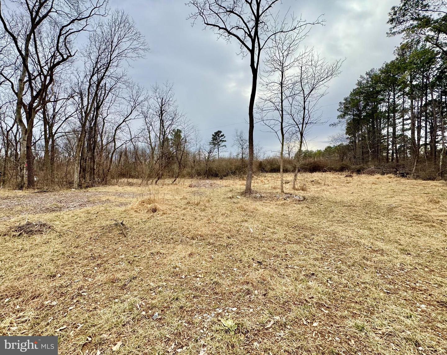 LOT 4 ROCK HALL FARM LN, BERRYVILLE, Virginia 22611, ,Land,For sale,LOT 4 ROCK HALL FARM LN,VACL2003486 MLS # VACL2003486