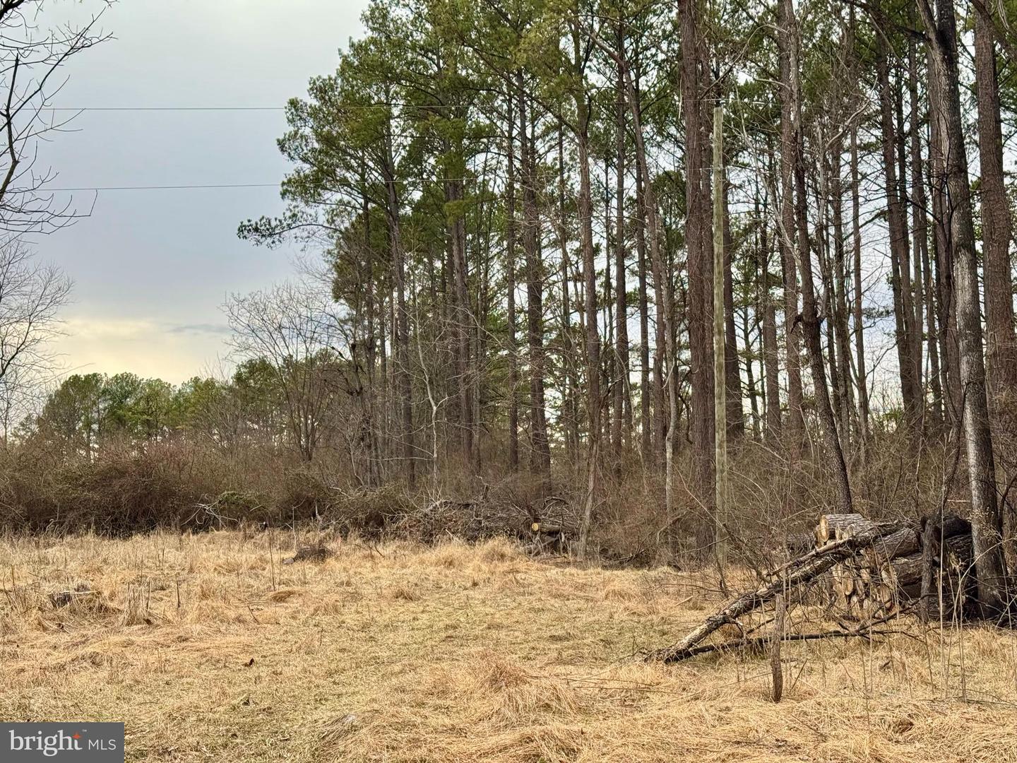 LOT 4 ROCK HALL FARM LN, BERRYVILLE, Virginia 22611, ,Land,For sale,LOT 4 ROCK HALL FARM LN,VACL2003486 MLS # VACL2003486