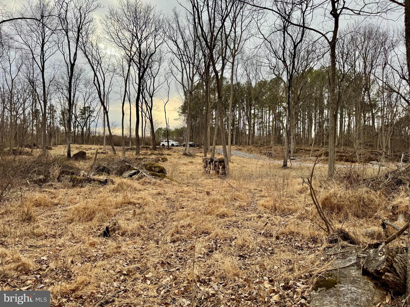 LOT 4 ROCK HALL FARM LN, BERRYVILLE, Virginia 22611, ,Land,For sale,LOT 4 ROCK HALL FARM LN,VACL2003486 MLS # VACL2003486