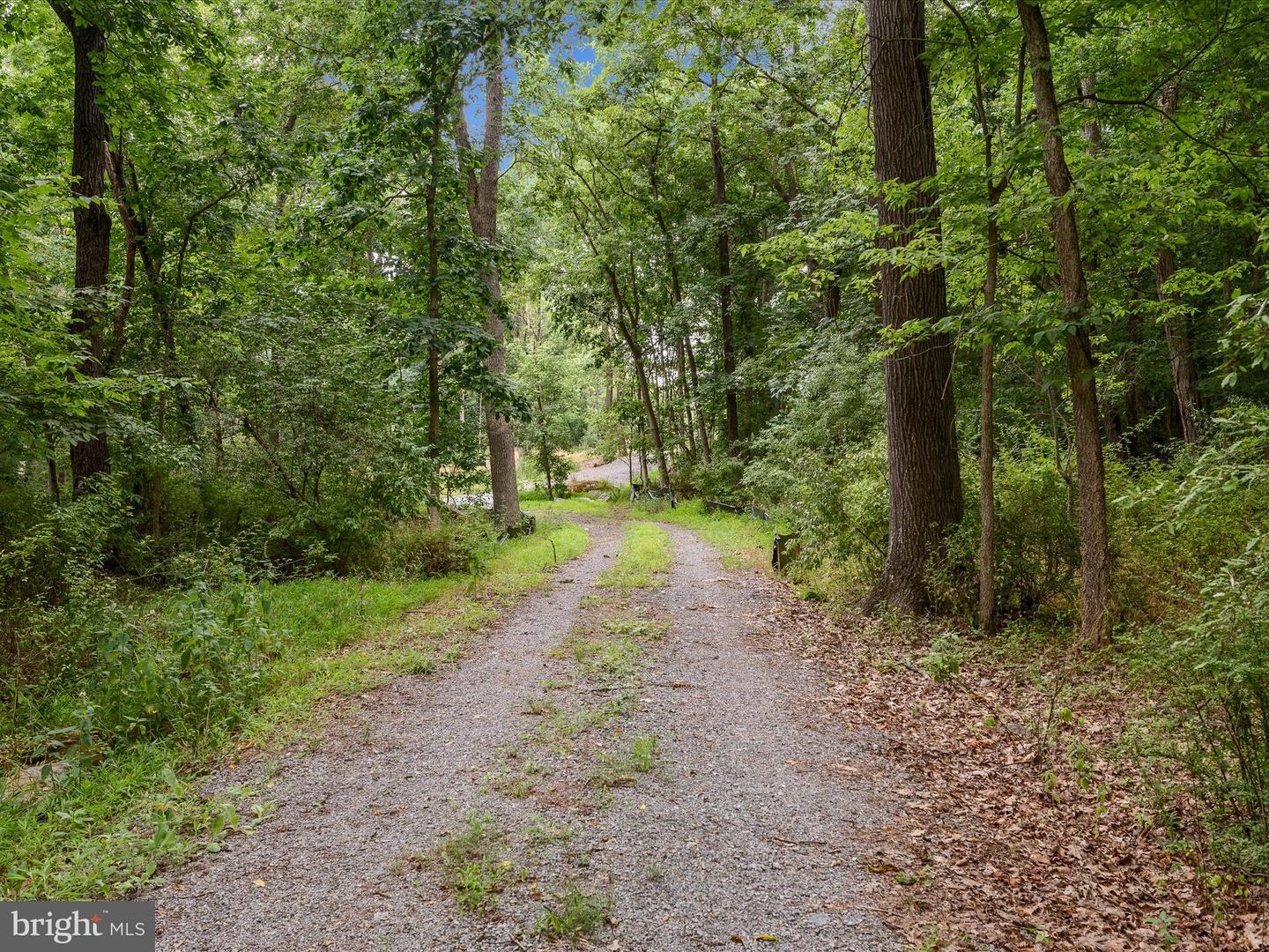 LOT 4 ROCK HALL FARM LN, BERRYVILLE, Virginia 22611, ,Land,For sale,LOT 4 ROCK HALL FARM LN,VACL2003486 MLS # VACL2003486