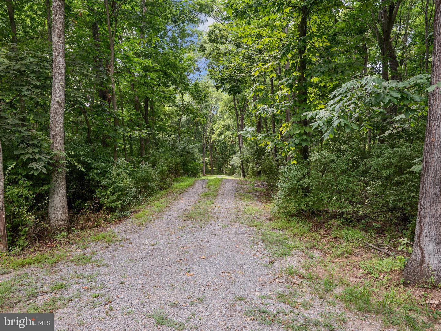 LOT 4 ROCK HALL FARM LN, BERRYVILLE, Virginia 22611, ,Land,For sale,LOT 4 ROCK HALL FARM LN,VACL2003486 MLS # VACL2003486