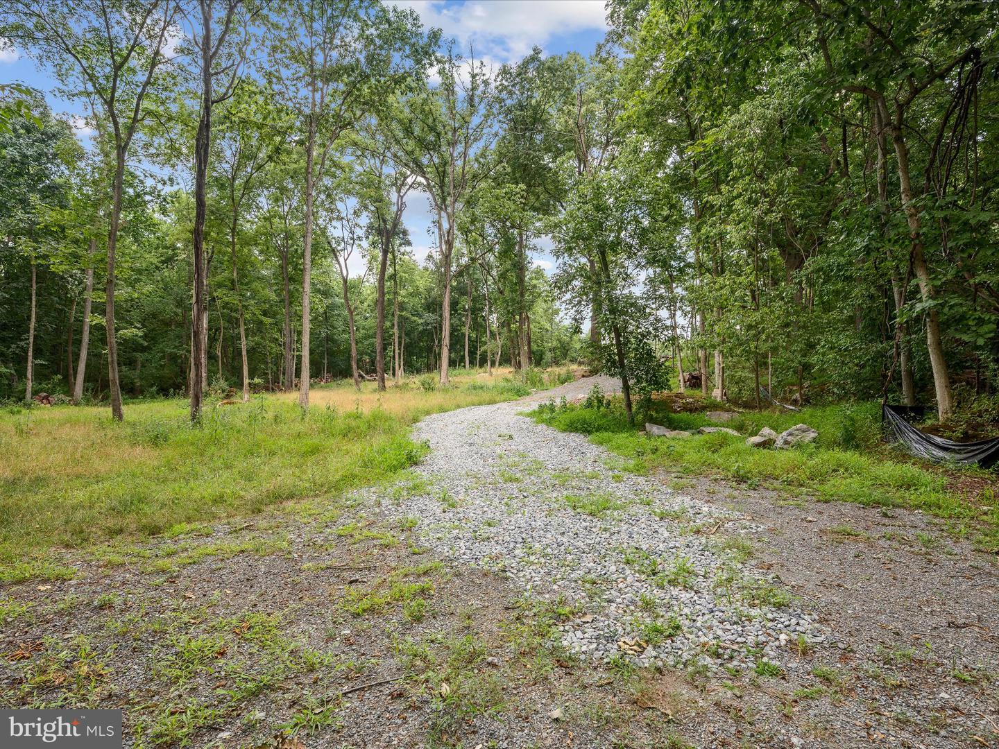 LOT 4 ROCK HALL FARM LN, BERRYVILLE, Virginia 22611, ,Land,For sale,LOT 4 ROCK HALL FARM LN,VACL2003486 MLS # VACL2003486