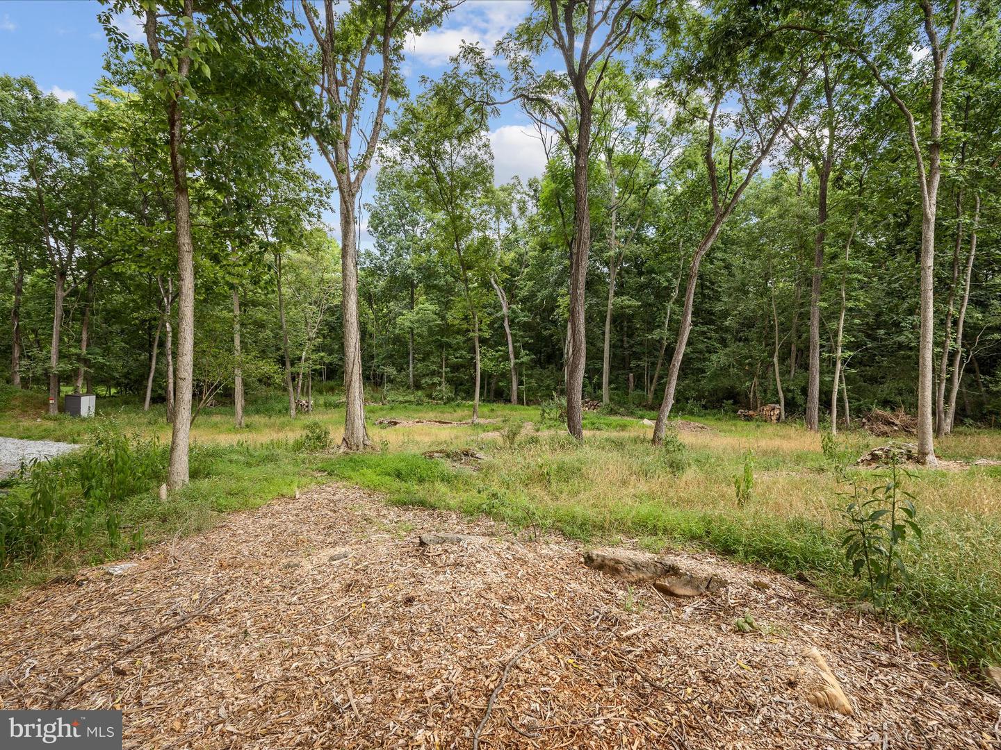 LOT 4 ROCK HALL FARM LN, BERRYVILLE, Virginia 22611, ,Land,For sale,LOT 4 ROCK HALL FARM LN,VACL2003486 MLS # VACL2003486