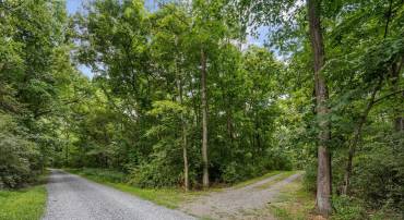 LOT 4 ROCK HALL FARM LN, BERRYVILLE, Virginia 22611, ,Land,For sale,LOT 4 ROCK HALL FARM LN,VACL2003486 MLS # VACL2003486