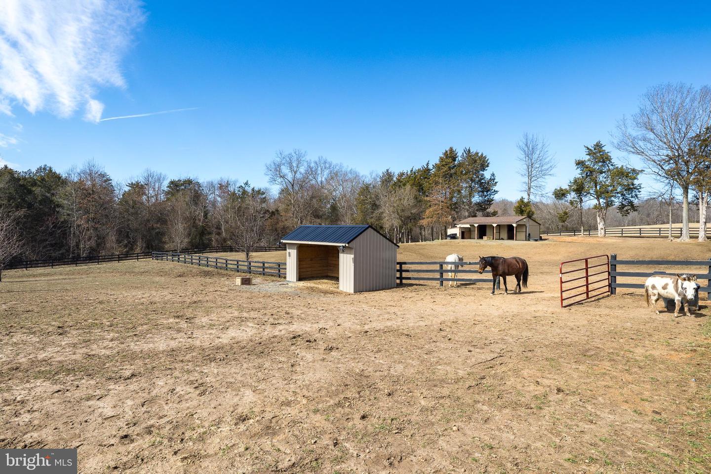 5900 CRESCENT POINT DR, ORANGE, Virginia 22960, 4 Bedrooms Bedrooms, ,3 BathroomsBathrooms,Residential,For sale,5900 CRESCENT POINT DR,VASP2029422 MLS # VASP2029422