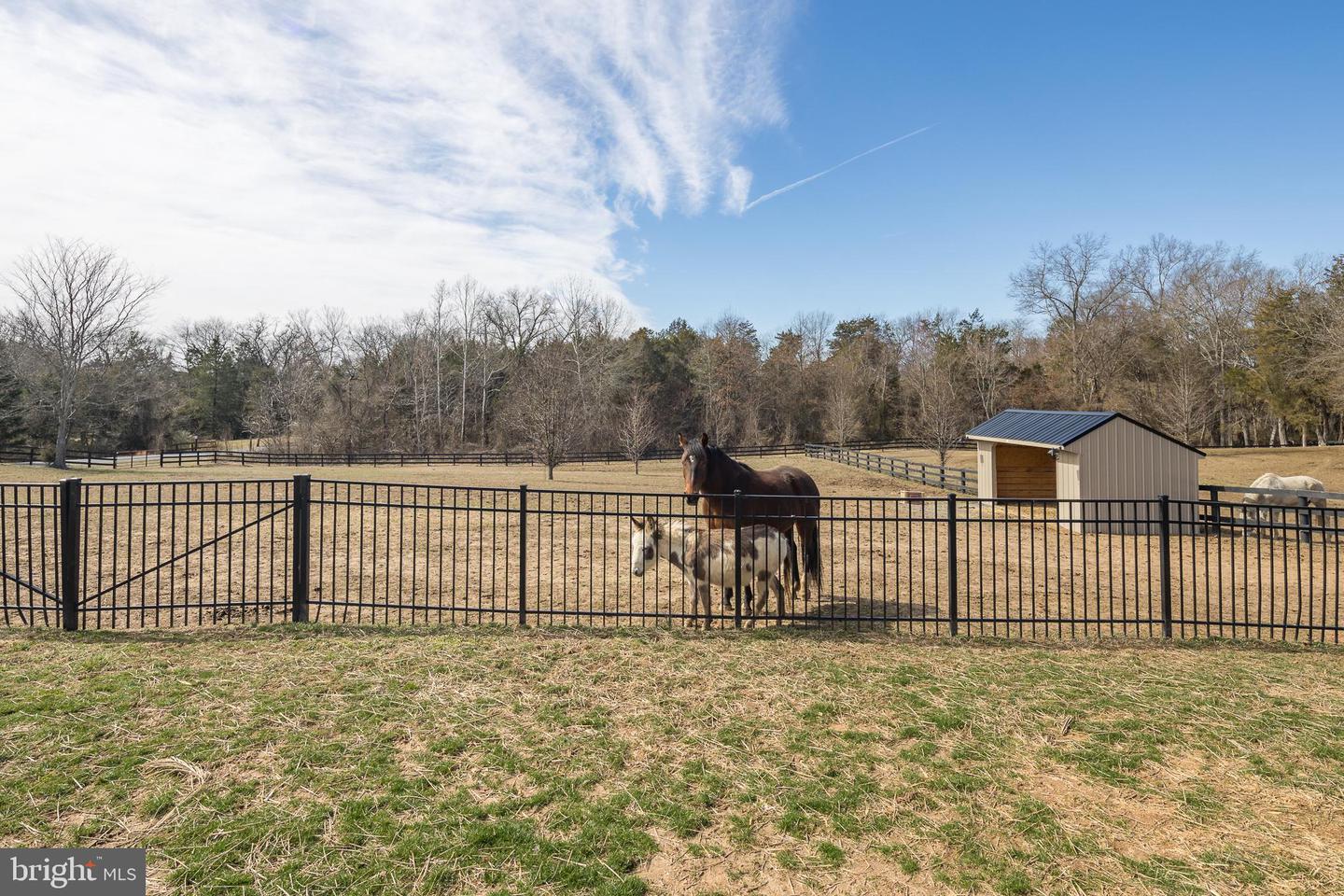 5900 CRESCENT POINT DR, ORANGE, Virginia 22960, 4 Bedrooms Bedrooms, ,3 BathroomsBathrooms,Residential,For sale,5900 CRESCENT POINT DR,VASP2029422 MLS # VASP2029422