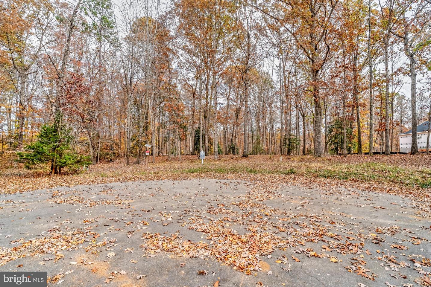 14019 MEADES CT, FREDERICKSBURG, Virginia 22407, ,Land,For sale,14019 MEADES CT,VASP2029086 MLS # VASP2029086