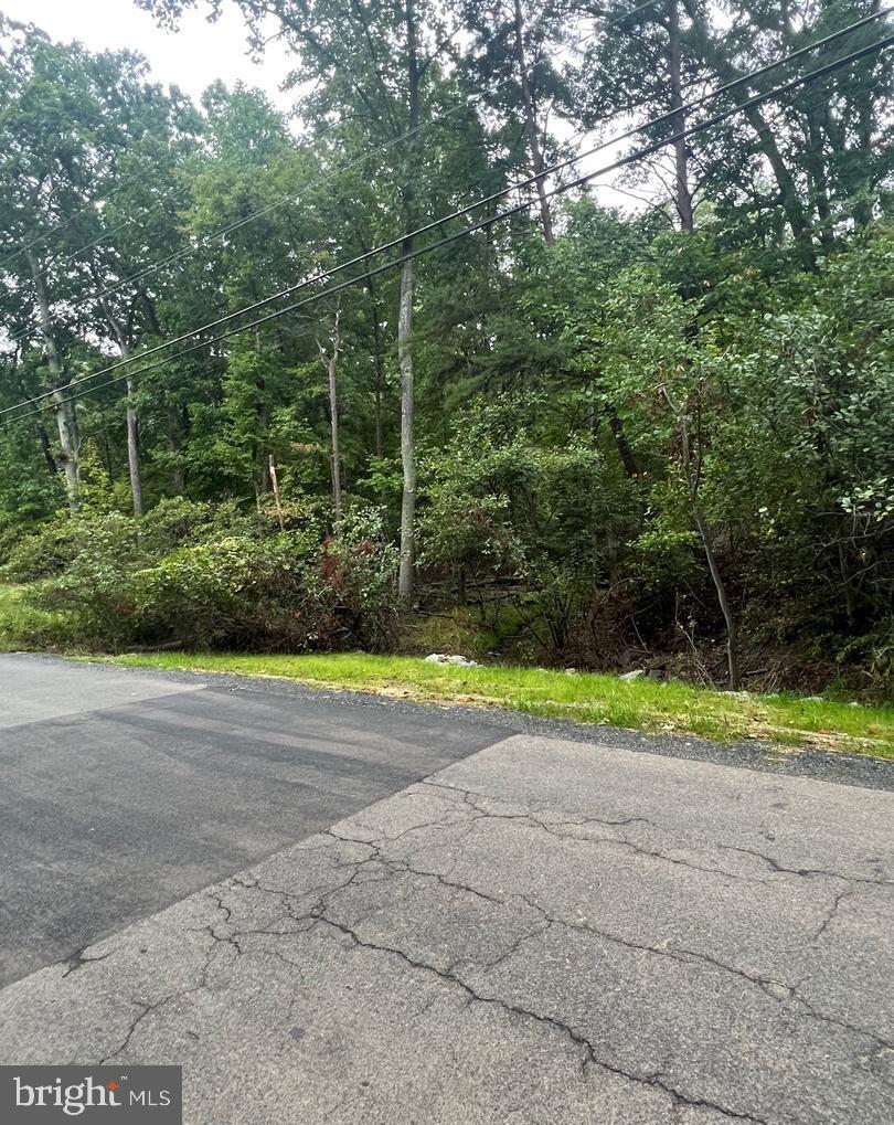 2340 YOUNGS DR, HAYMARKET, Virginia 20169, ,Land,For sale,2340 YOUNGS DR,VAPW2089264 MLS # VAPW2089264