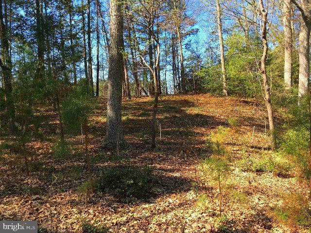 LOT 87 STEAMBOAT LN, HEATHSVILLE, Virginia 22473, ,Land,For sale,LOT 87 STEAMBOAT LN,VANV2001464 MLS # VANV2001464