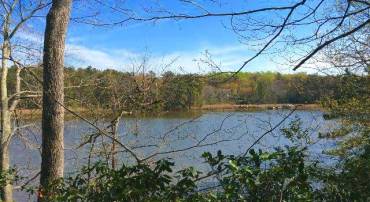 LOT 87 STEAMBOAT LN, HEATHSVILLE, Virginia 22473, ,Land,For sale,LOT 87 STEAMBOAT LN,VANV2001464 MLS # VANV2001464