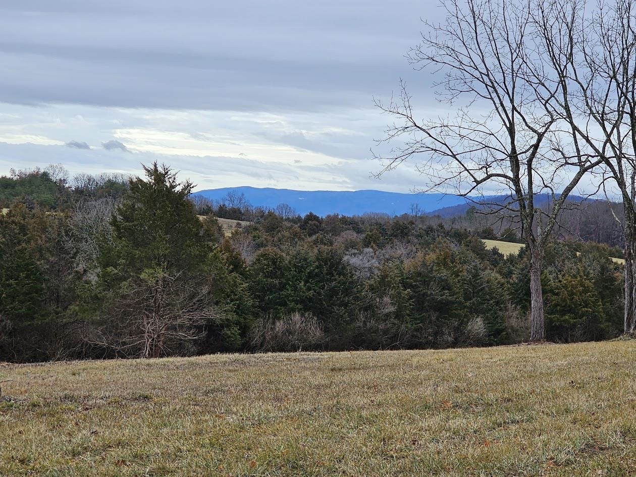 Lot 5 BERRY FARM RD, STAUNTON, Virginia 24401, ,Land,Lot 5 Crown Ridge Estates Davison property,Lot 5 BERRY FARM RD,661708 MLS # 661708