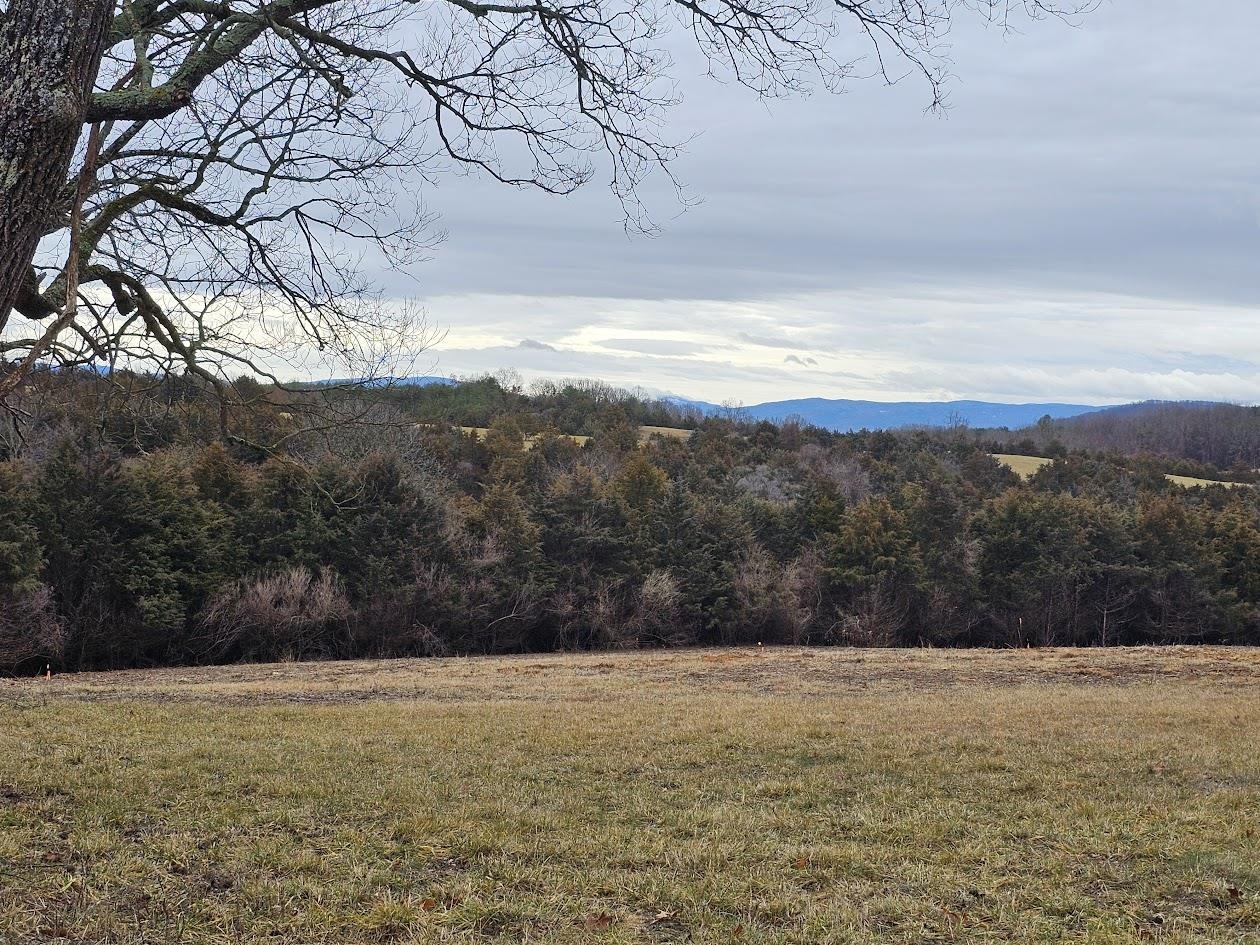 Lot 5 BERRY FARM RD, STAUNTON, Virginia 24401, ,Land,Lot 5 Crown Ridge Estates Davison property,Lot 5 BERRY FARM RD,661708 MLS # 661708