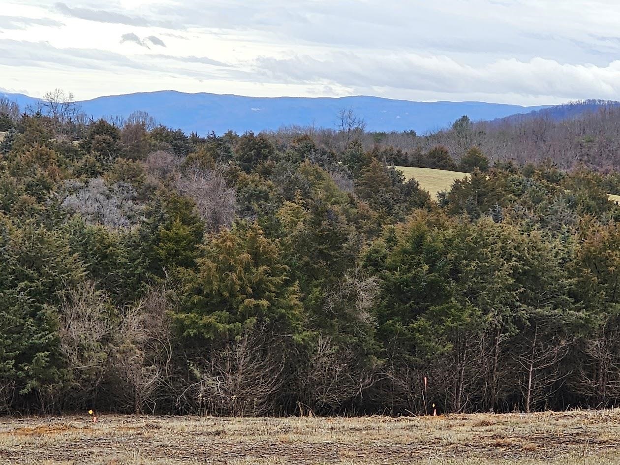 Lot 5 BERRY FARM RD, STAUNTON, Virginia 24401, ,Land,Lot 5 Crown Ridge Estates Davison property,Lot 5 BERRY FARM RD,661708 MLS # 661708