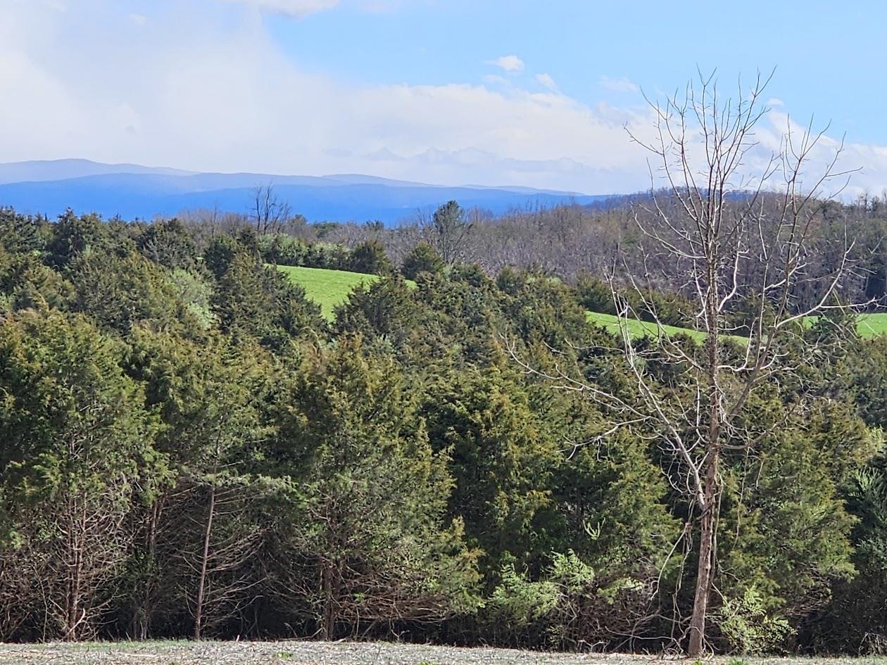 Lot 5 BERRY FARM RD, STAUNTON, Virginia 24401, ,Land,Lot 5 Crown Ridge Estates Davison property,Lot 5 BERRY FARM RD,661708 MLS # 661708