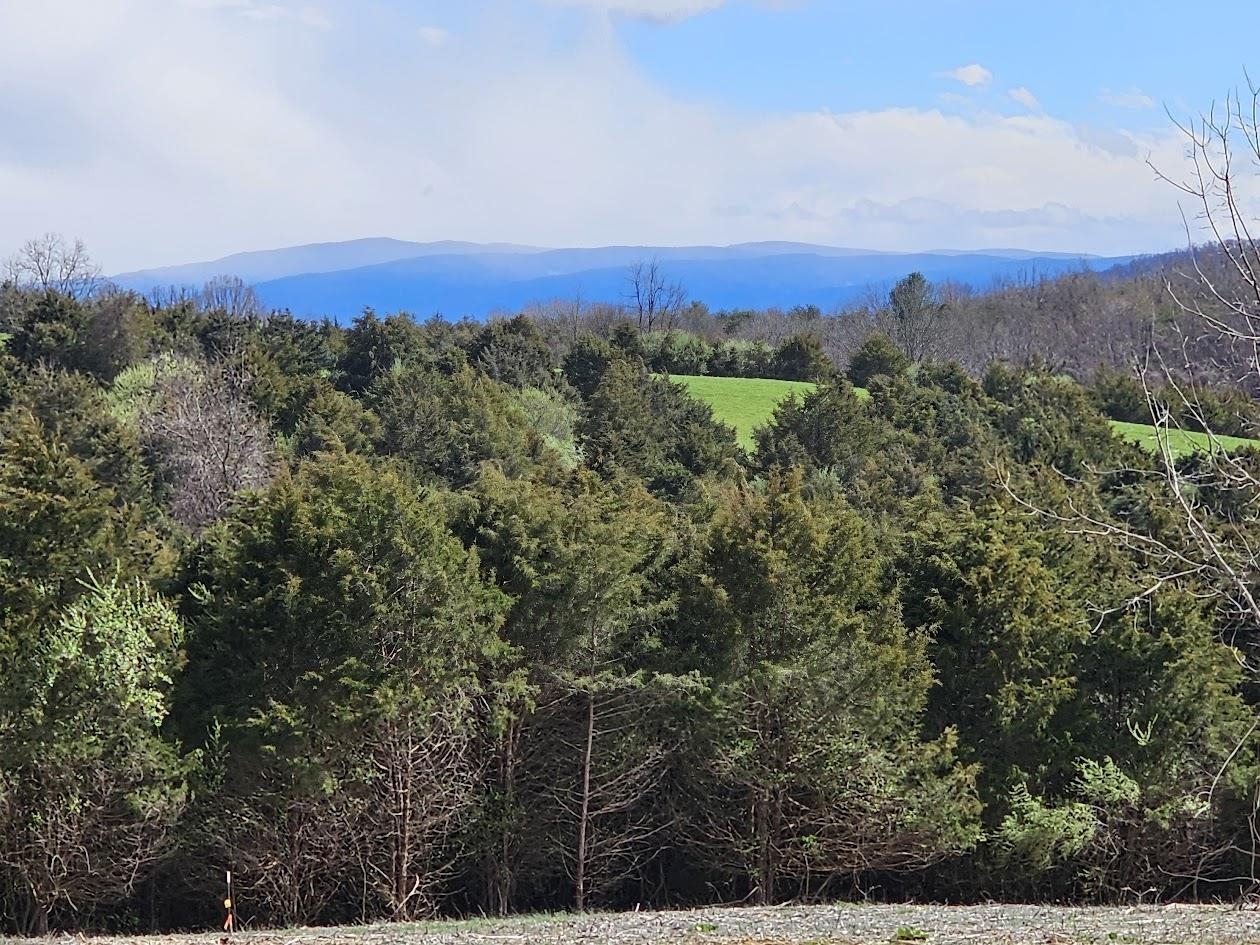 Lot 5 BERRY FARM RD, STAUNTON, Virginia 24401, ,Land,Lot 5 Crown Ridge Estates Davison property,Lot 5 BERRY FARM RD,661708 MLS # 661708