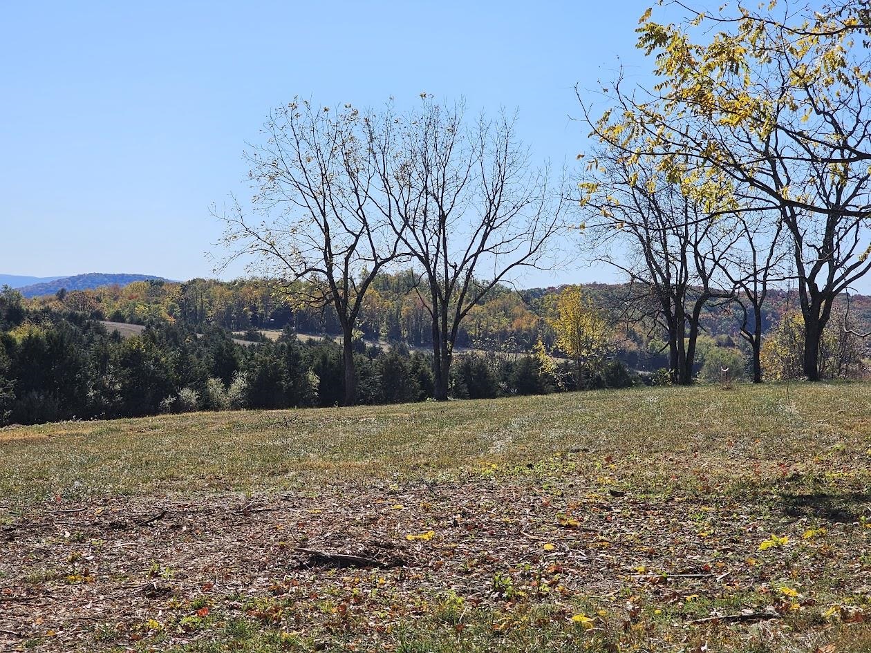 Lot 5 BERRY FARM RD, STAUNTON, Virginia 24401, ,Land,Lot 5 Crown Ridge Estates Davison property,Lot 5 BERRY FARM RD,661708 MLS # 661708