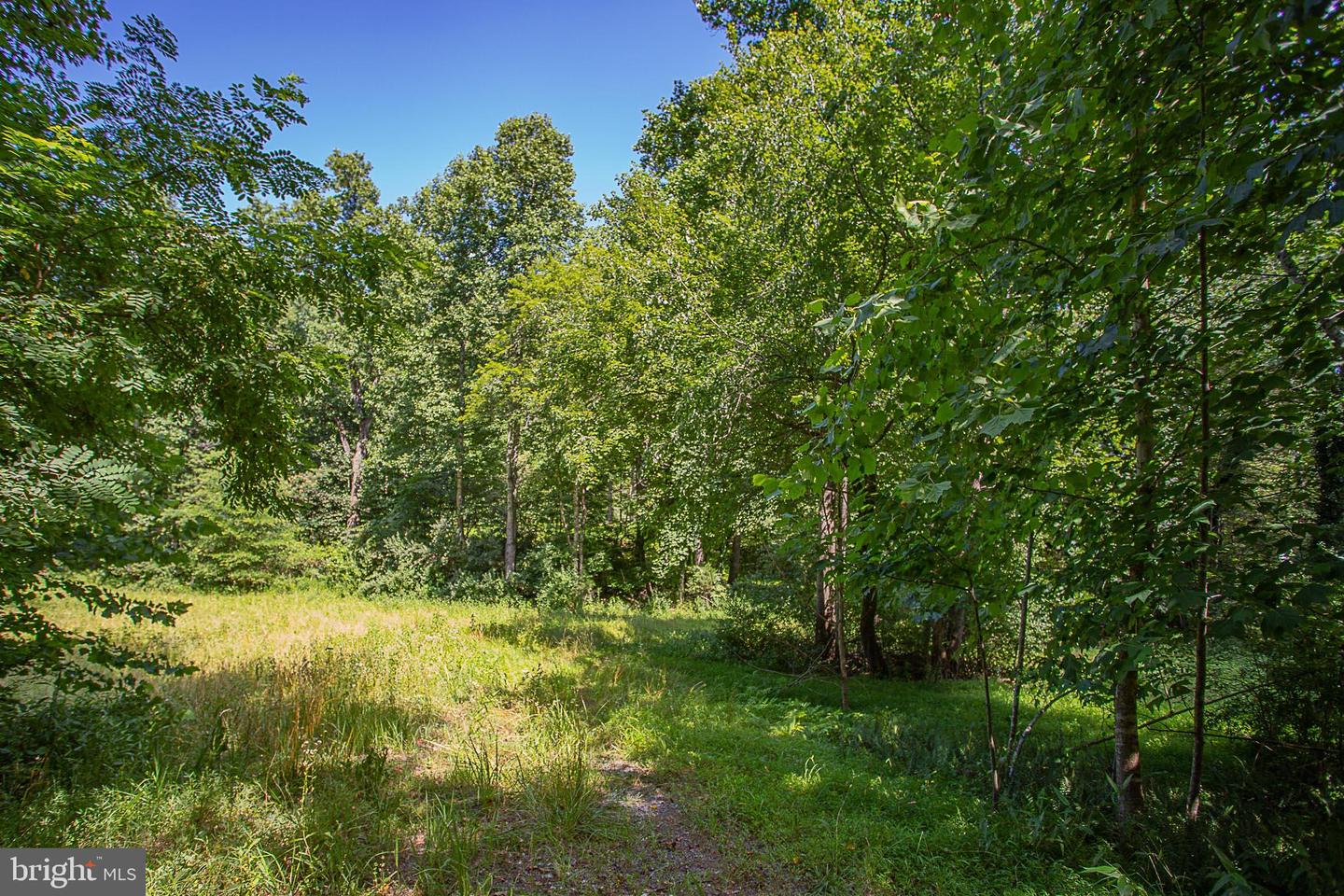 TBD PINE TORCH #78A, MADISON, Virginia 22727, ,Land,For sale,TBD PINE TORCH #78A,VAMA2002108 MLS # VAMA2002108